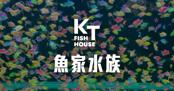 KT魚家水族-水族館,水晶蝦,水晶蝦買賣,高雄水族館,前鎮區水族館,前鎮區水晶蝦買賣